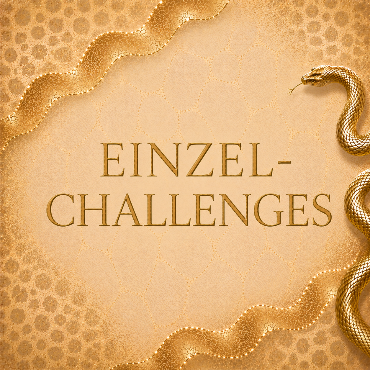 A6 EINZELCHALLENGES