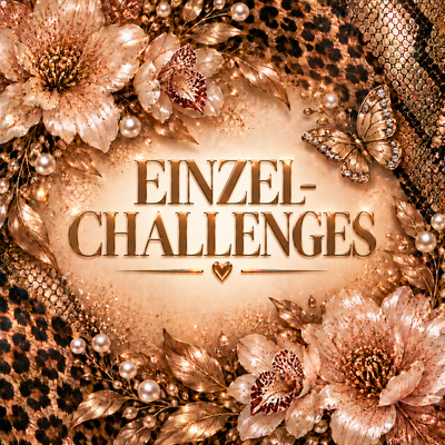 A6 EINZELCHALLENGES